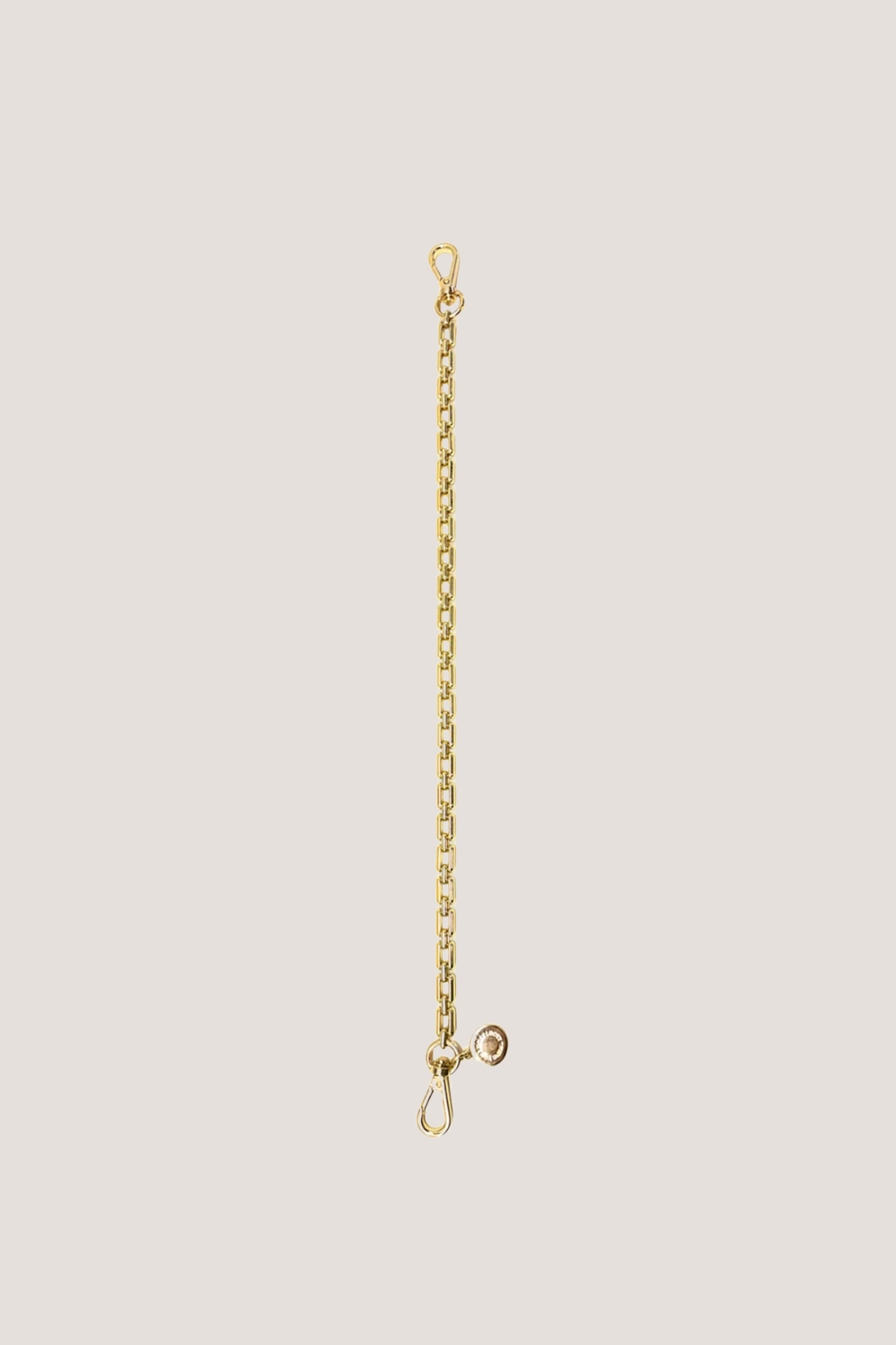 Feature Strap Chain | Gold Box