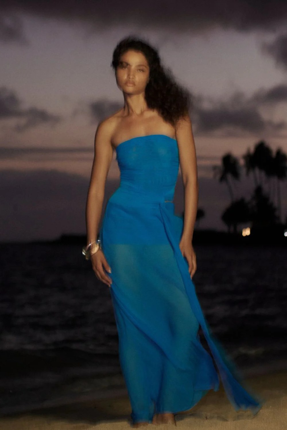 Jehnaya Strapless Maxi Dress | Aster Blue