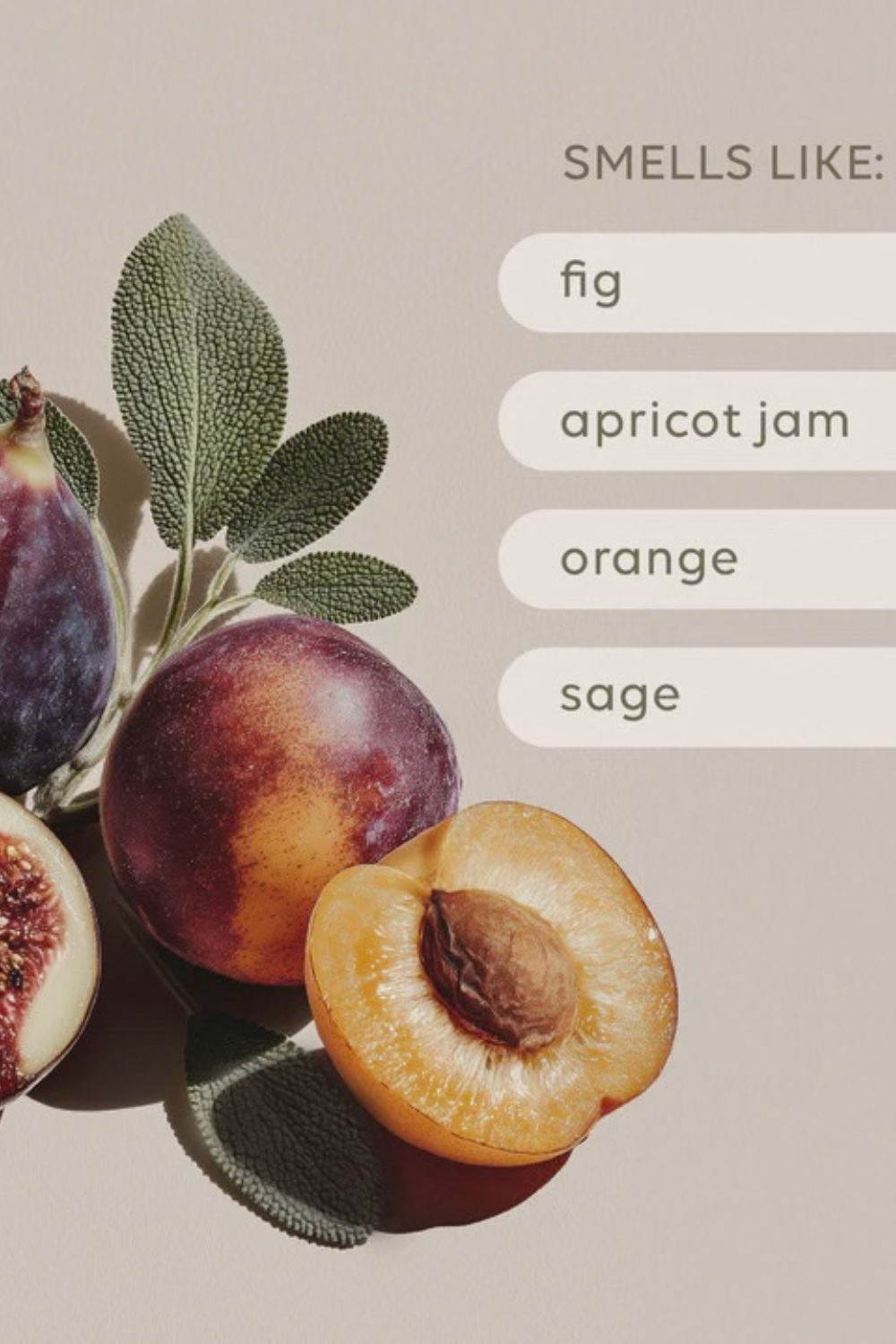 Soy Candle | Apricot & Sweet Fig