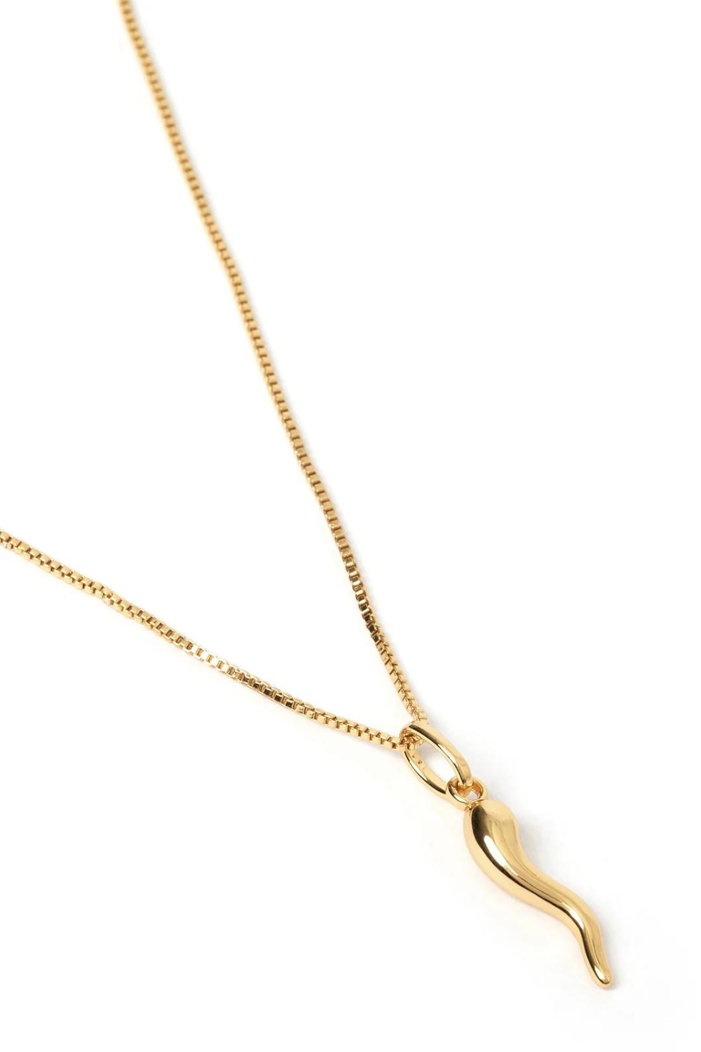 Cornicello Gold Charm Necklace