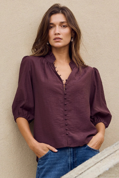 Continuance Chocolate Semi Sheer High Neck Buttoned Short Sleeve Top