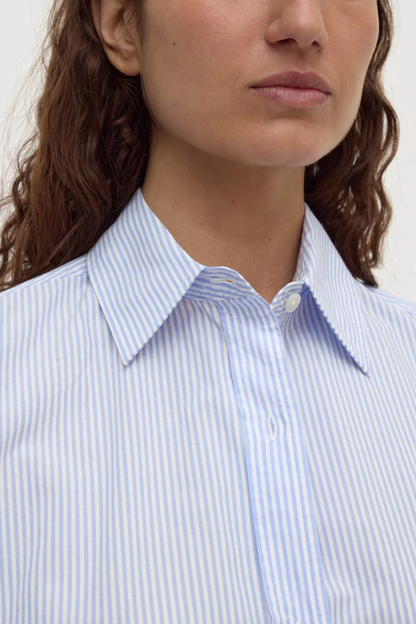 Avoca Stripe Shirt | Blue/White Stripe