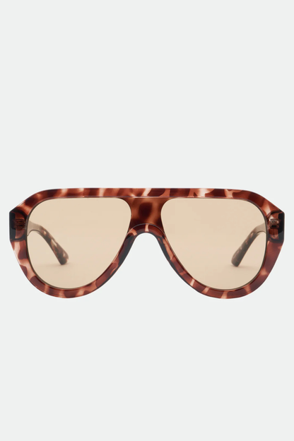 Cameron | Tort/Brown