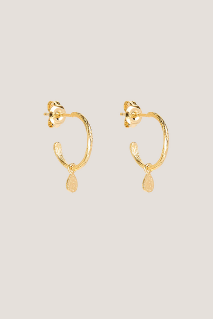 18k Gold Vermeil Grace Hoops