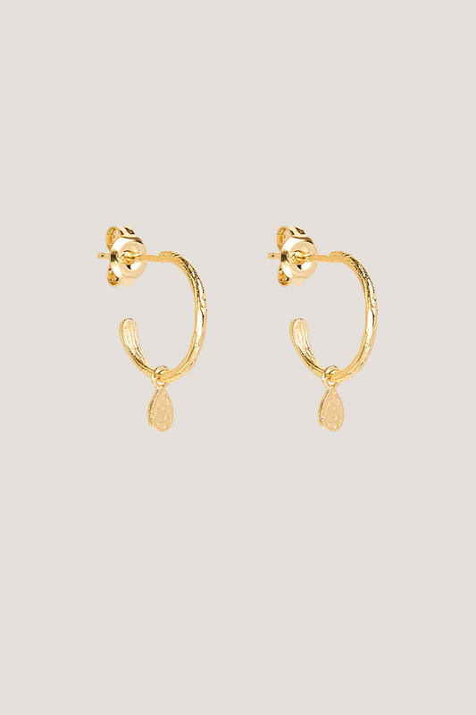 18k Gold Vermeil Grace Hoops