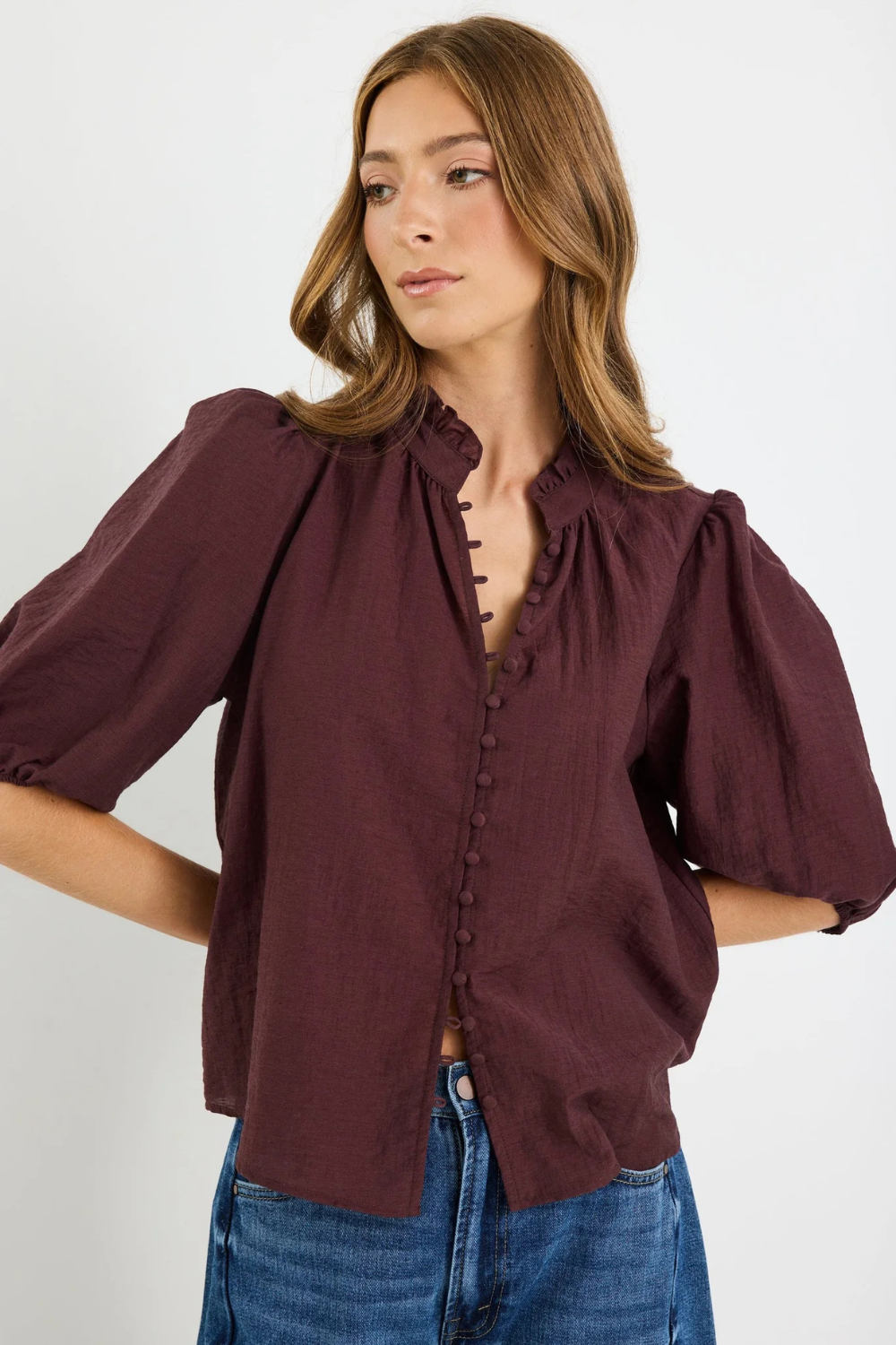 Continuance Chocolate Semi Sheer High Neck Buttoned Short Sleeve Top