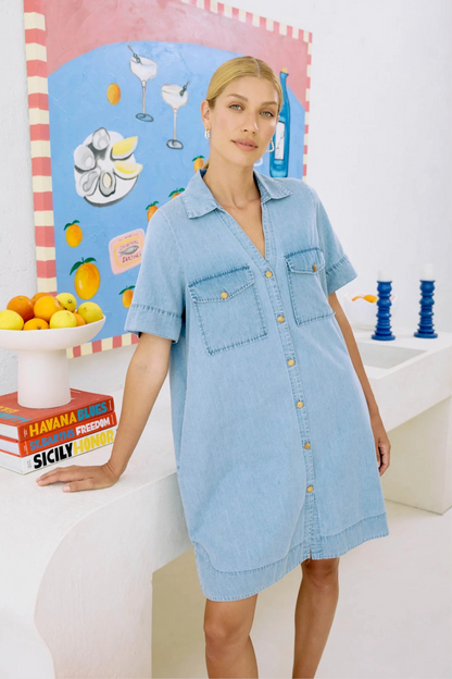 Melenia Denim Shirt Dress