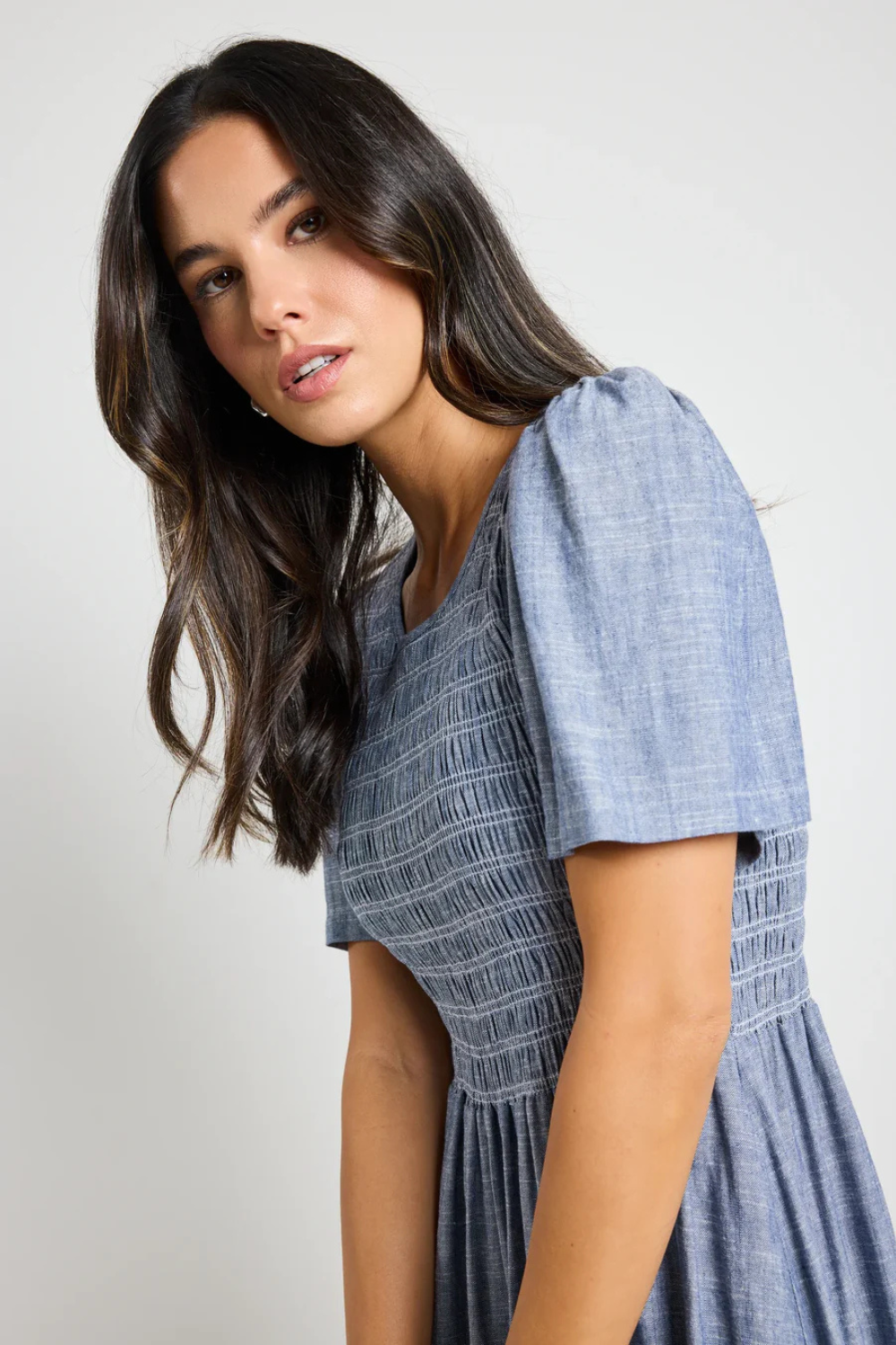 Wren Chambray Blue SS Shirred Bodice Midi Dress