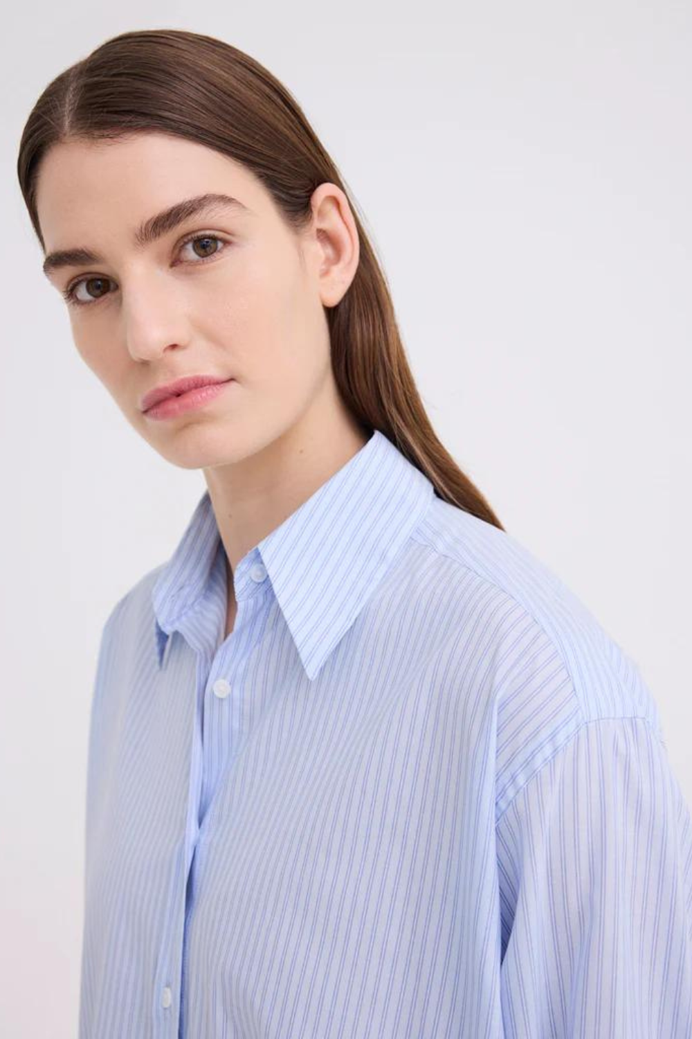 Robyn Shirt | Blue Twin Stripe