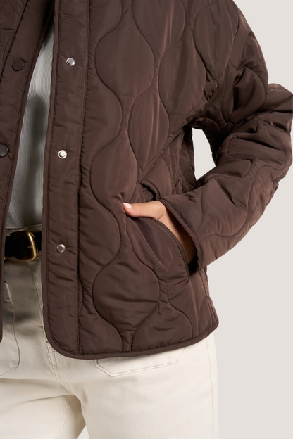 Apex Chocolate Collarless Puffer Jacket