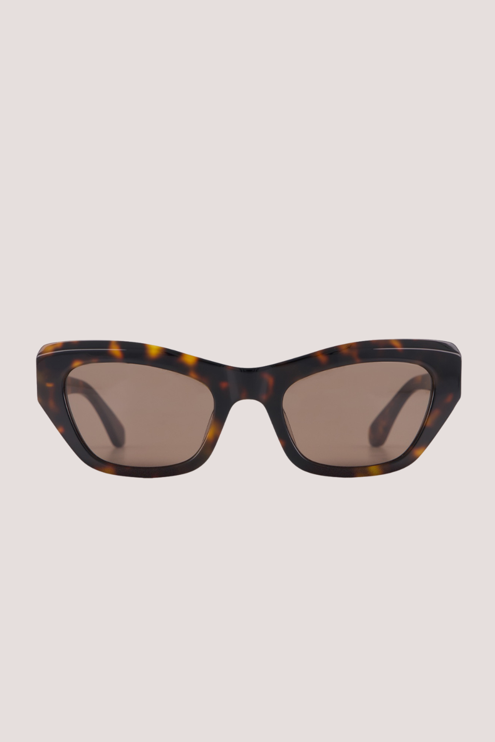 Cara | Tortoise