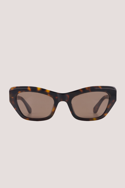 Cara | Tortoise