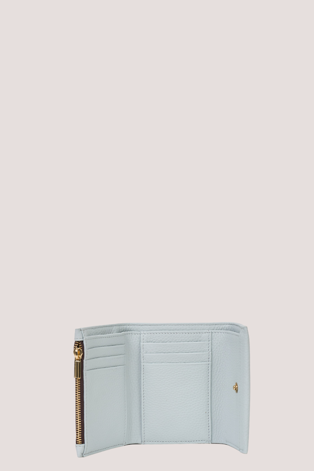 Pico Wallet | Elderberry