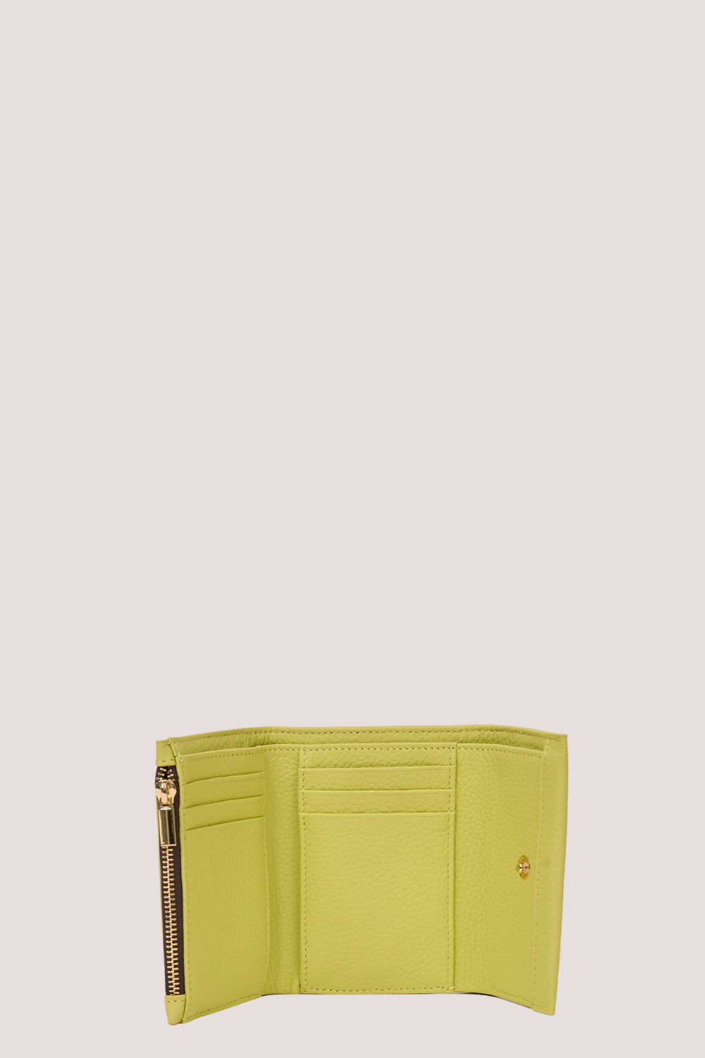 Pico Wallet | Pistachio