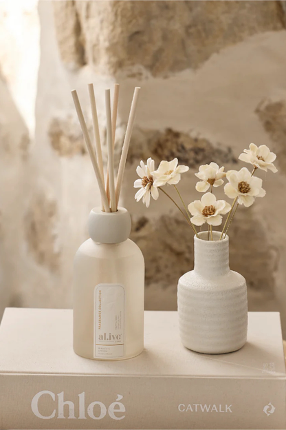 Reed Diffuser | Mango & Lychee