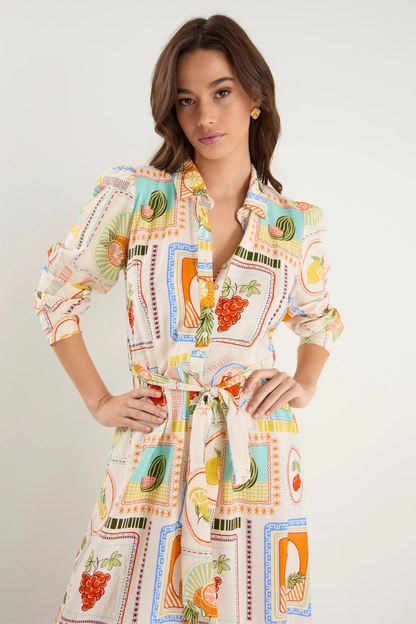 Sentiment Tropical Postcard Long Sleeve Maxi Shirt Dress