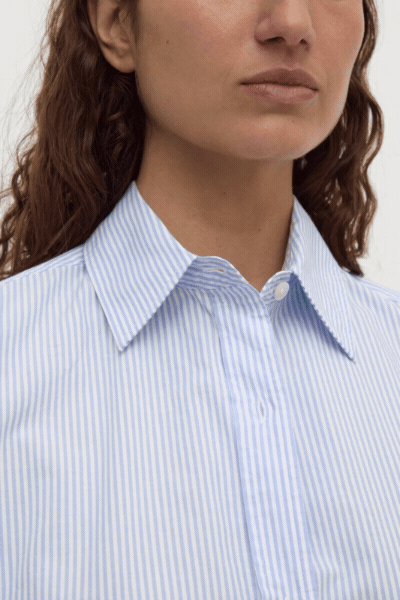 Avoca Stripe Shirt | Blue/White Stripe